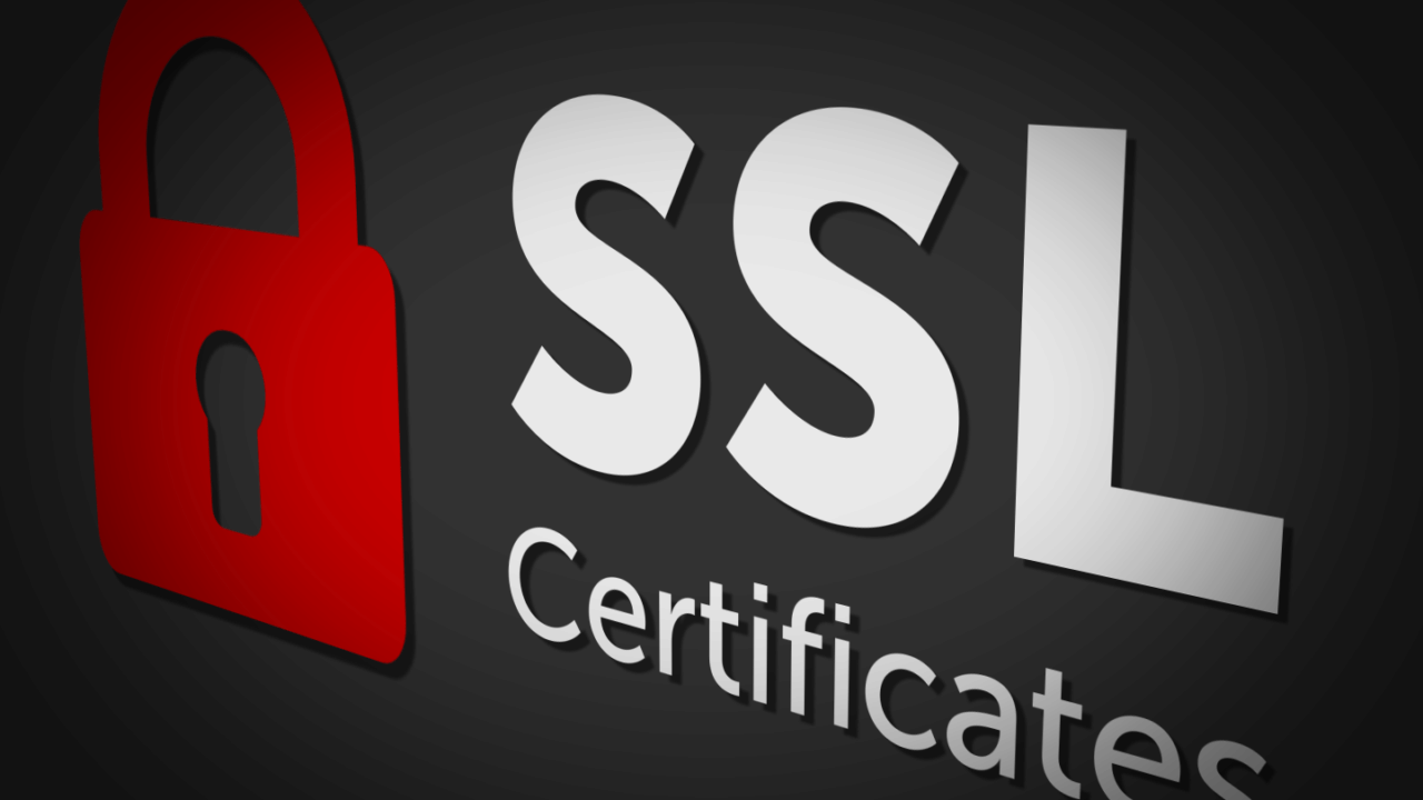 GeoTrust OV SSL证书(国际版)